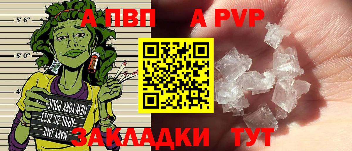 Alfa_PVP СК Воркута