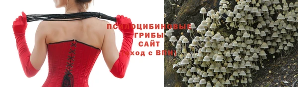 спиды Балабаново