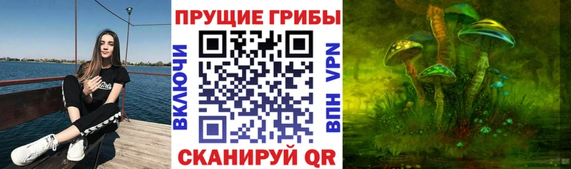 купить закладку  сайты даркнета телеграм  Псилоцибиновые грибы мицелий  Воркута  МЕГА онион 