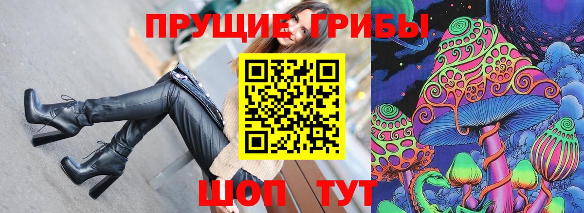 Воркута  Галлюциногенные грибы Psilocybe  Вход с VPN 
