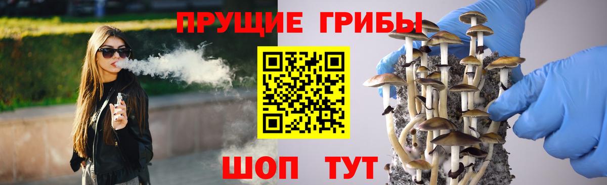 Псилоцибиновые грибы Psilocybine cubensis Воркута