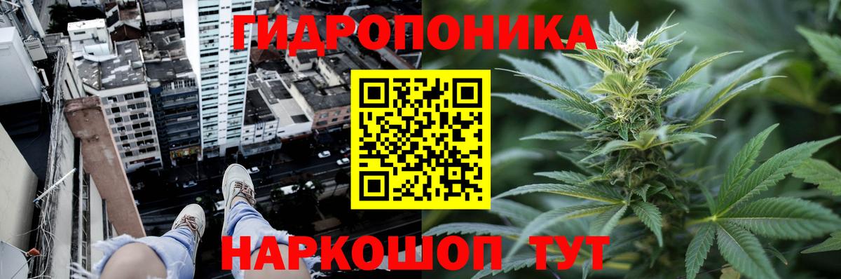 Бошки марихуана ГИДРОПОН  Каннабис план  Воркута 
